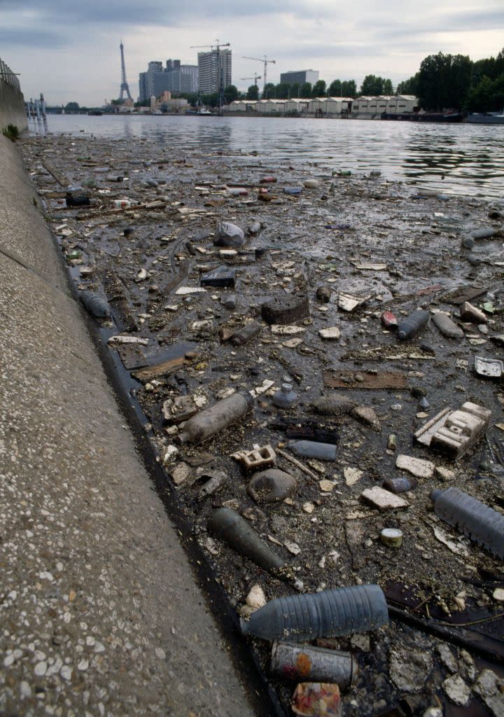 pollution of seine river