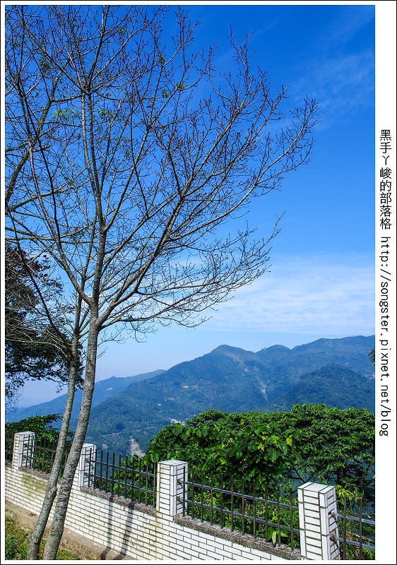 【嘉義】龍山國小 太興岩步道 交力坪車站