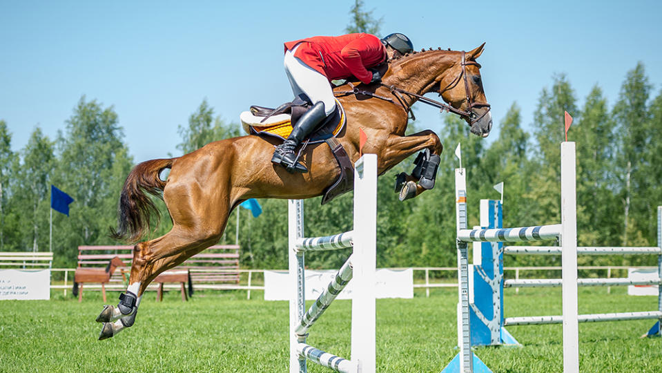 The rider on the show jumper horse overcome high obstacles in the arena for show jumping on background blue sky