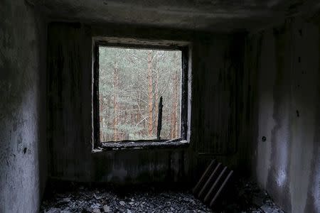 Trees stand outside a window of an apartment which was evacuated after an explosion at the Chernobyl nuclear power plant, in the ghost town of Pripyat, Ukraine April 18, 2016. REUTERS/Gleb Garanich