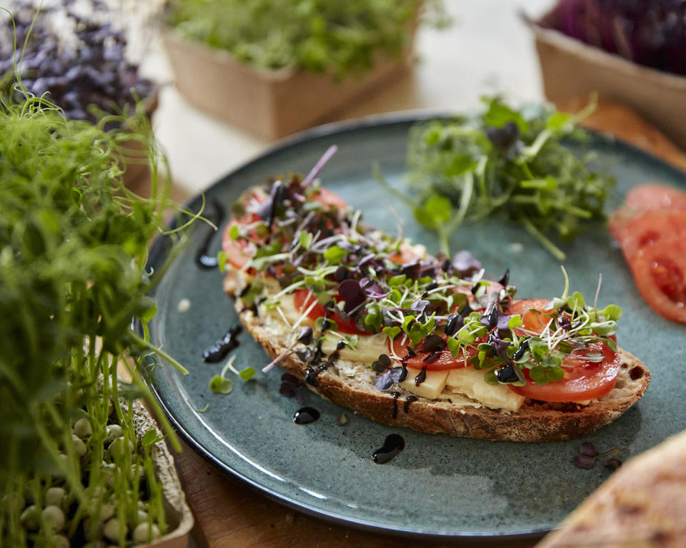 Brown bread covered with cheese, tomato and microgreens on plate surrounded