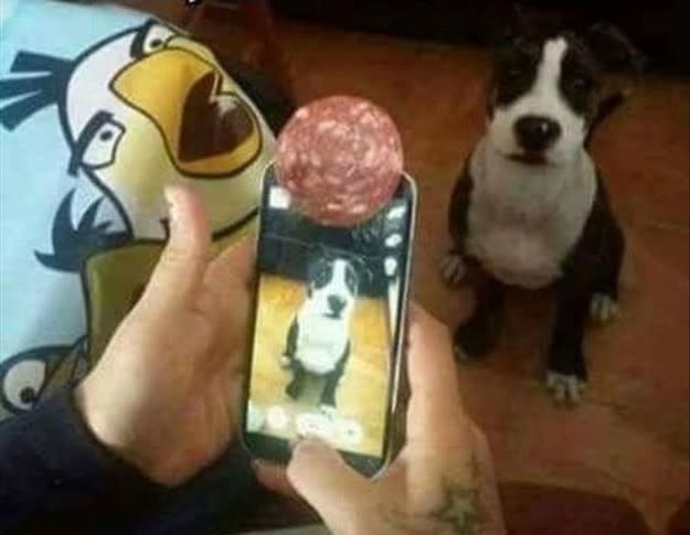 <p>Si te gusta fotografiar a tu mascota y nunca logras que el animal observe directo a la cámara, podrías utilizar la técnica de este hombre que decidió engañar a su perro al poner un pedazo de comida en la lente. Checa ésta y otras ideas insólitas que han causado sensación en la Red. Foto: Ourdogsgotablog.com </p>