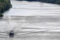 <p>Uno de los posibles motivos es el exceso de contaminación sonora, que hace que se desorienten. Otro, es que se pierden por las modificaciones en las corrientes marinas debido al calentamiento global. (Photo by JEAN-FRANCOIS MONIER/AFP via Getty Images)</p> 