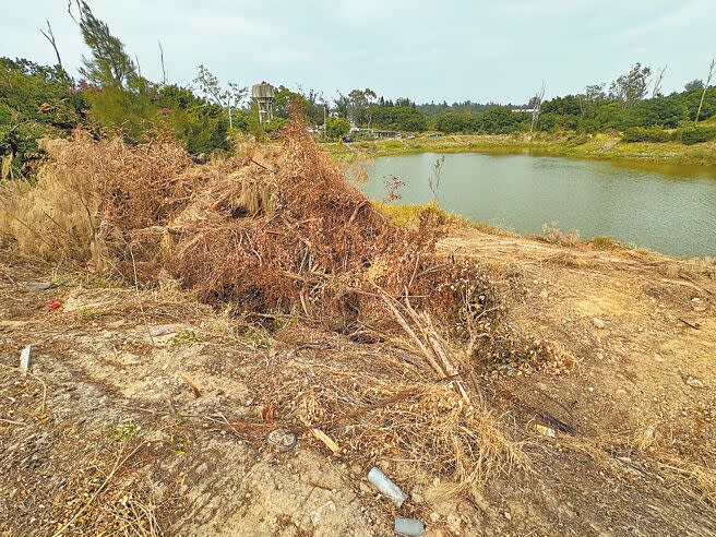 金門光華園標租委外活化經營，但得標廠商近期施作基地周邊環境整建工程時，卻在未經縣府同意下移除非標租範圍內的樹木與地被植物，此舉恐破壞鄰近黃龍潭一帶水獺棲地而引發動保人士群起炮轟。（于家麒攝）