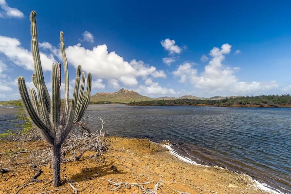 Washington Slagbaai National Park is an ecological reserve in the northwestern part of Bonaire.