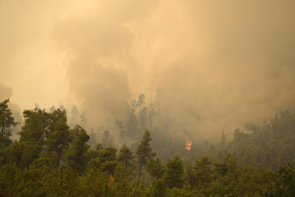 Flames burn a forest during a wildfire in Gouves village on the island of Evia, about 185 kilometers (115 miles) north of Athens, Greece, Sunday, Aug. 8, 2021. Hundreds of firefighters in Greece are still battling massive wildfires that have destroyed tracts of forest and prompted emergency evacuations from a popular vacation island. (AP Photo/Petros Karadjias)