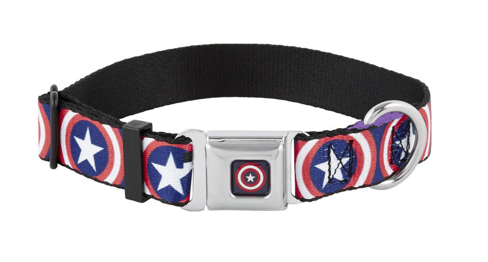 Buckle-Down Captain America Shield Seatbelt Buckle Dog Collar, $19.95, chewy.com (Photo: Chewy)