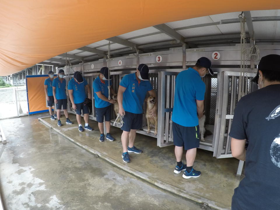 朱孝天到新竹監獄的監獄犬訓班參觀。（圖／NNY Network）