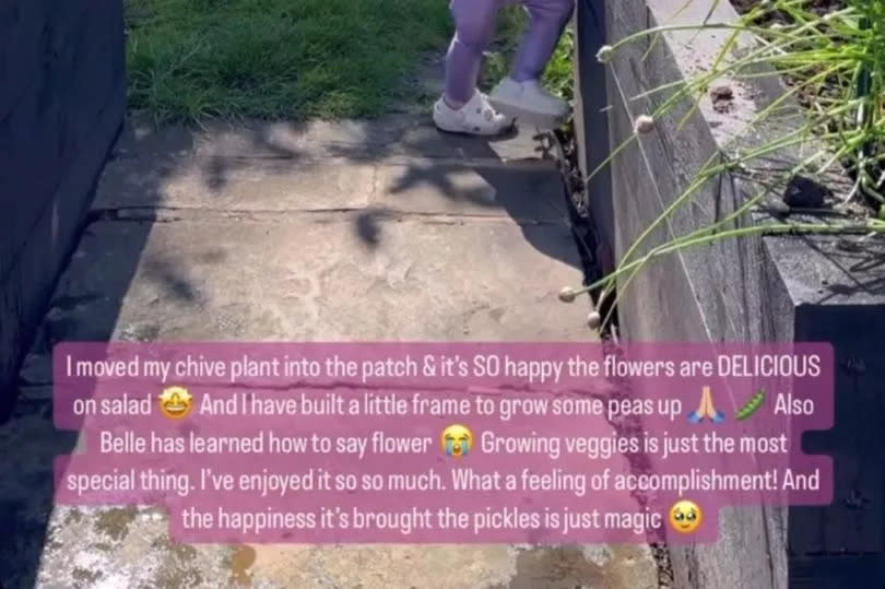 Stacey shared a sweet garden updat with her fans -Credit:Stacey Solomon Instagram