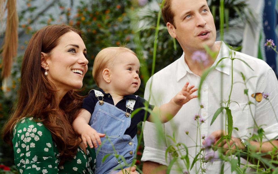 The photograph released for Prince George's first birthday, taken while visiting the Sensational Butterflies exhibition at the Natural History Museum - Credit: Getty Images