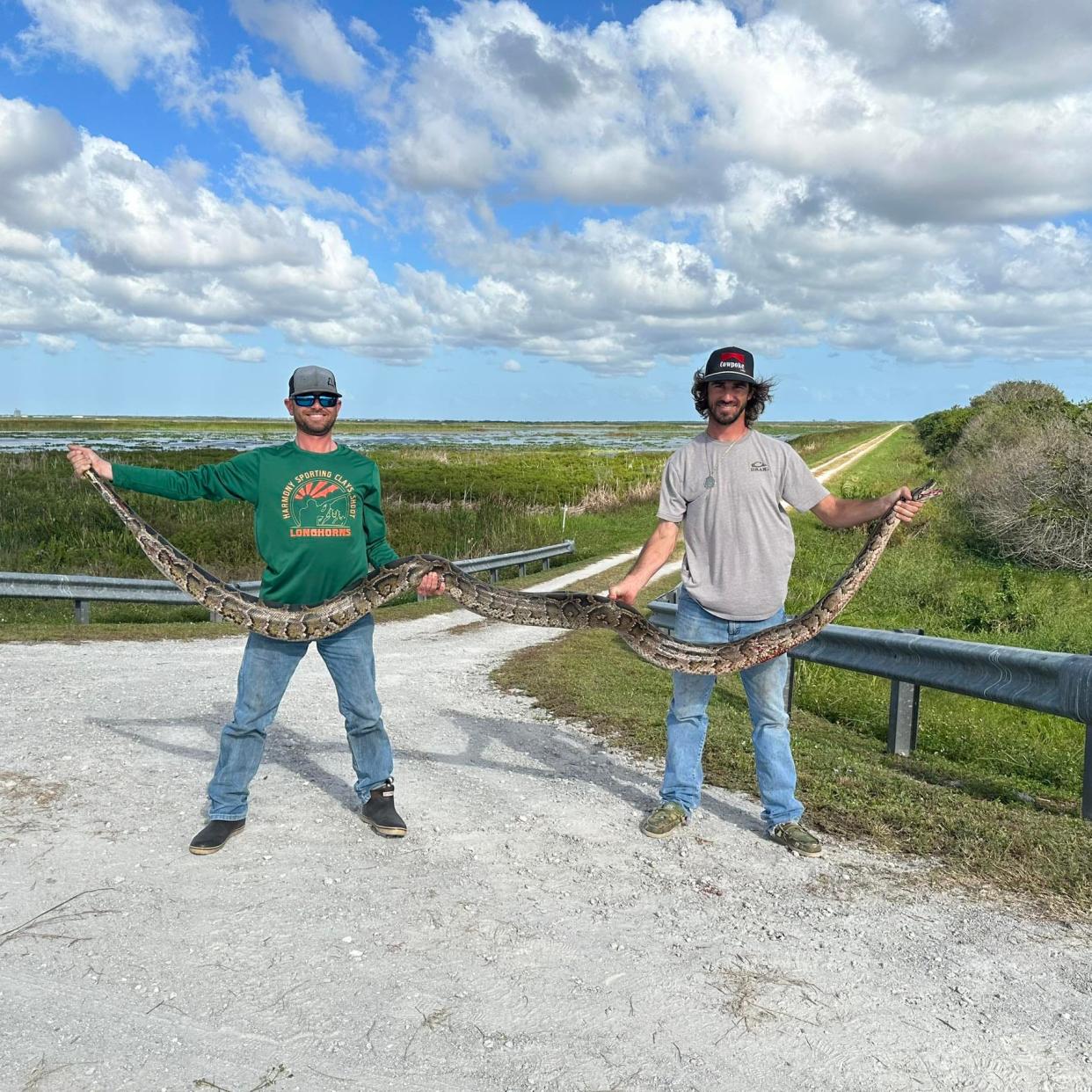 Python around 12 feet long killed by Jay Strickland of Saint Cloud in southwest Brevard County.