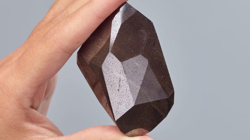 A 555.55-carat black diamond that was listed in the Guinness World Records as one of the largest and toughest diamonds in existence is going on auction.