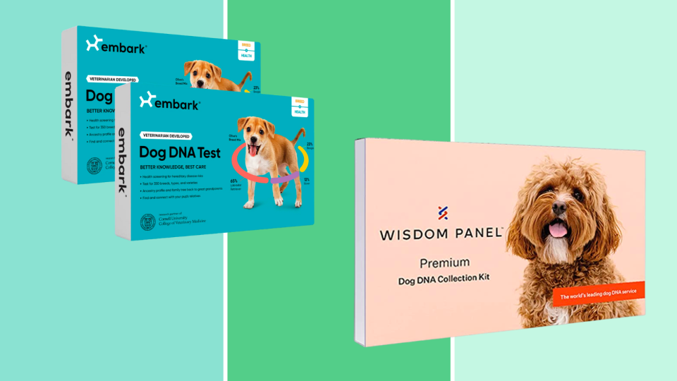 Get a DNA kit for your pet to celebrate National DNA Day.