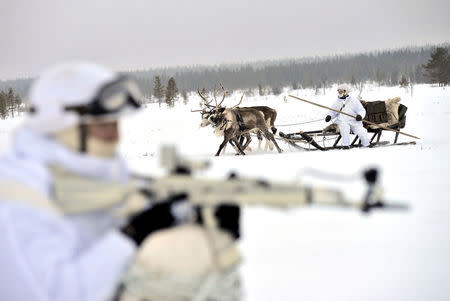 Russian servicemen of the Northern Fleet's Arctic mechanised infantry brigade participate in a military drill on riding reindeer and dog sleds near the settlement of Lovozero outside Murmansk, Russia January 23, 2017. Picture taken January 23, 2017. Lev Fedoseyev/Ministry of Defence of the Russian Federation/Handout via REUTERS