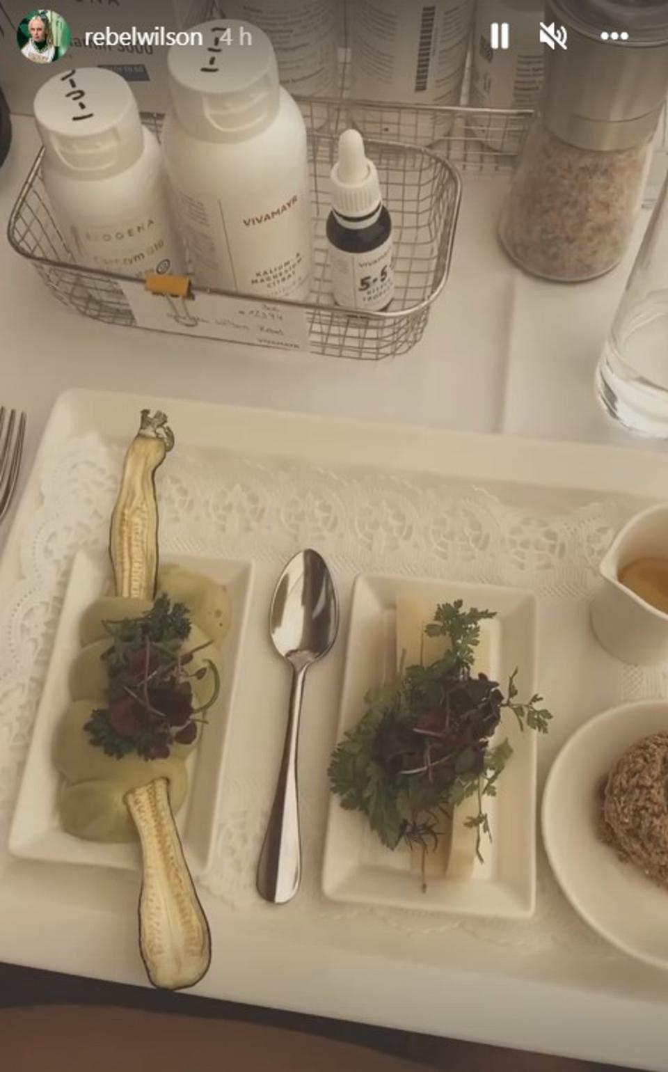 The actress showcased her breakfast, avocado mousse, cheese and an oat roll, at the luxurious wellness resort (Instagram/Rebel Wilson)