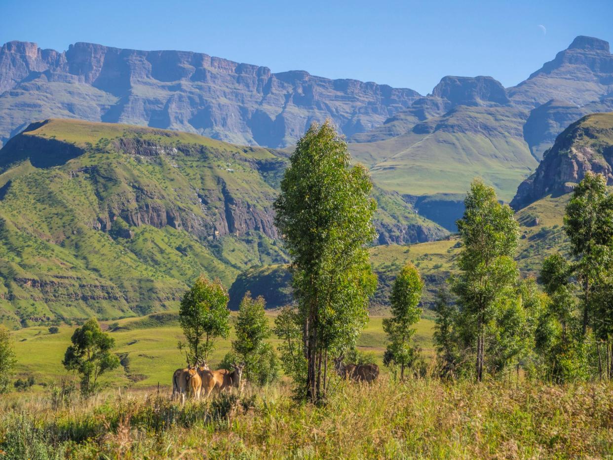 Drakensberg: Heather Richardson