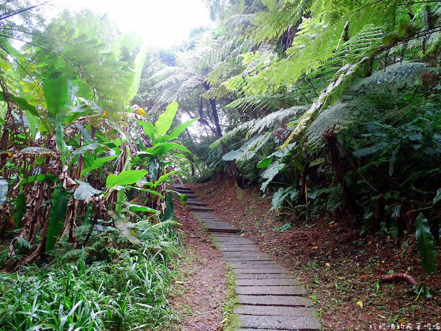 新北土城｜文筆山步道