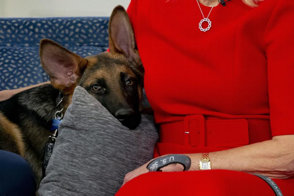 US President Joe Biden and First Lady Jill Biden sit with their dog Commander