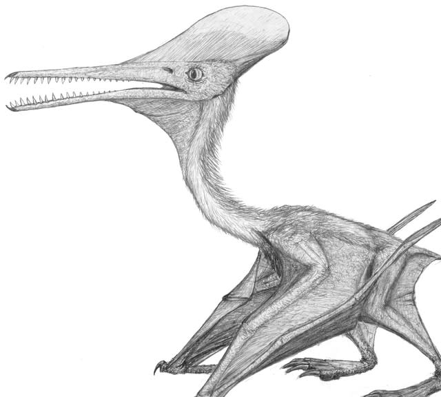 Pterosaur Terror! Giant Jurassic Flying Lizard Fossil Found In Oxfordshire