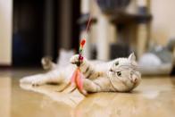 <p>Playing fetch with your dog or dangling a cat toy for your kitty is also another great way to show them you love them. They'll see you're spending time with them and having fun with them. You'll also be <a href="https://www.petmate.com/5-ways-to-show-your-dog-or-cat-you-love-them-unconditionally/article/a10085" rel="nofollow noopener" target="_blank" data-ylk="slk:keeping them mentally stimulated;elm:context_link;itc:0;sec:content-canvas" class="link ">keeping them mentally stimulated</a>, which is a must for a happy pet, according to Petmate. For smaller pets that you can't play with, such as hamsters, you can buy them a new toy to enjoy.</p>