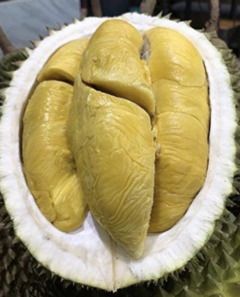 Durian Musang King (MSW) 800g (freshly packed durian) without shell, S$55.55 (was S$69.90). PHOTO: Amazon