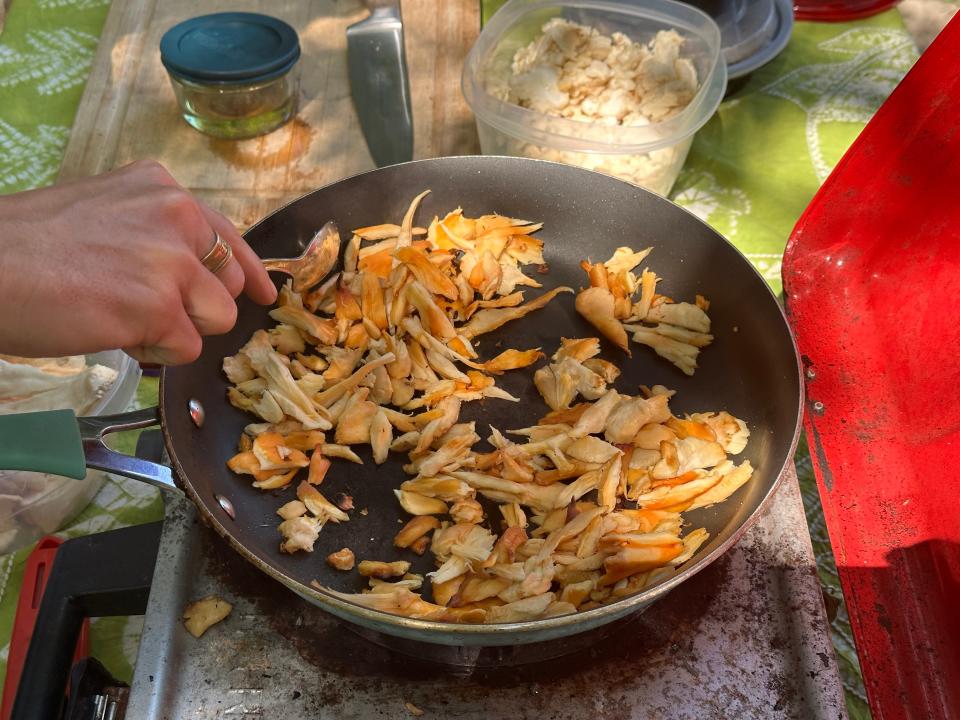 Following the hike at Goat Plum Tree Farm on Saturday, September 2, 2023, Matthew Harhai led his class of mushroom foragers to picnic tables where the group enjoyed a small meal prepared by Harhai and employee Sam Maher.