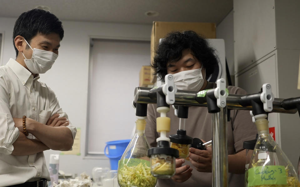 Tokyo University researchers Yuya Sakai, left, and Kota Machida, right, check on dried vegetables and fruit peels before pulverizing them to particles at their university laboratory in Tokyo, on May 26, 2022. The university researchers have developed a technology that can transform food waste into “cement" for construction use. (AP Photo/Chisato Tanaka)