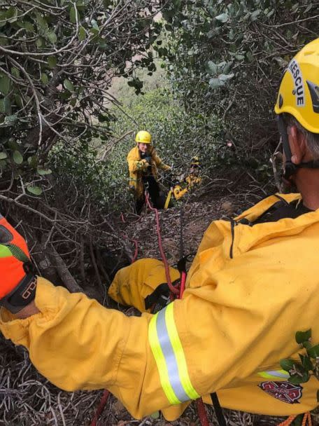 PHOTO: Hobo, a deaf 8-year-old Australian Shepherd, is going to be kept on a very short leash from now on after surviving a 100 foot fall and an hours-long rescue to save his life in Sorrento, California, on August 29, 2022. (San Diego Humane Society / Facebook)