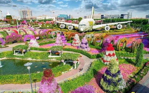 Dubai Miracle Garden, Dubai