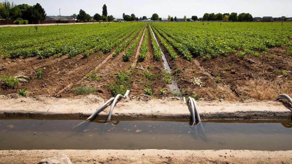 Irrigation water is siphoned into a farmer’s field in Caldwell.