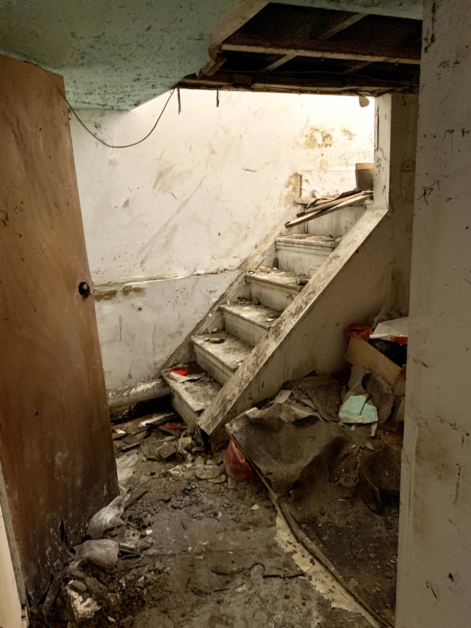 Image: The stairs leading down to Johnson Ho's storage basement. (Courtesy Johnson Ho)