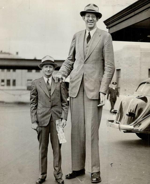 who was robert wadlow