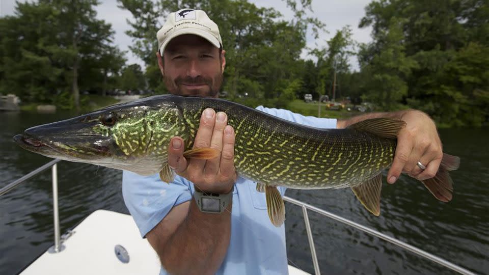 A fisherman displays a crane-adder hybrid.  -From Vermont Fish and Wildlife