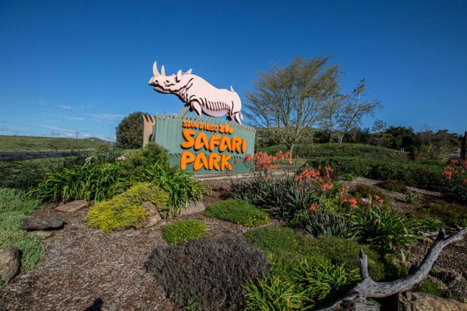 38) Venture into wildlife habitats at the San Diego Zoo Safari Park.