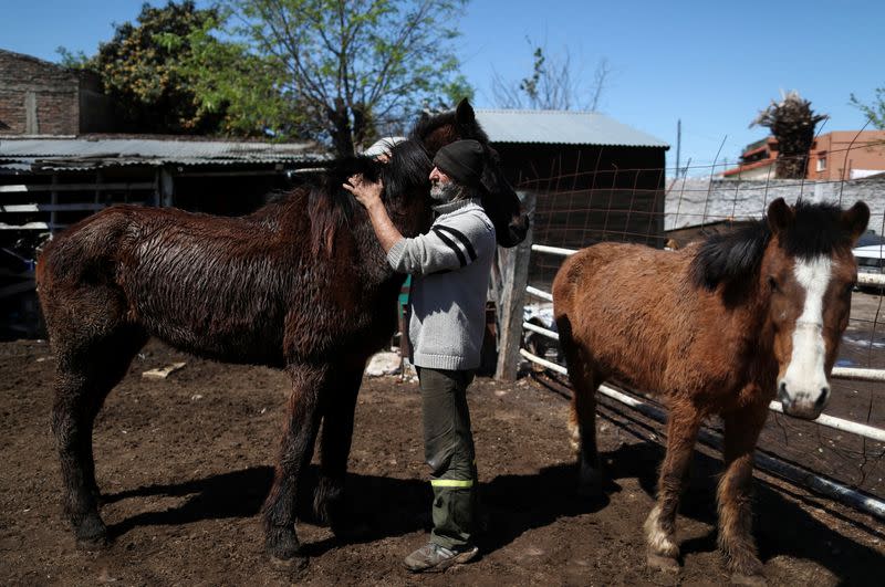 Walter Carbone, a carer member of APRE (Equine Rescue Protection Association), hugs Argento, a mistreated horse rescued by the association, at their refuge, in Lanus, on the outskirts of Buenos Aires