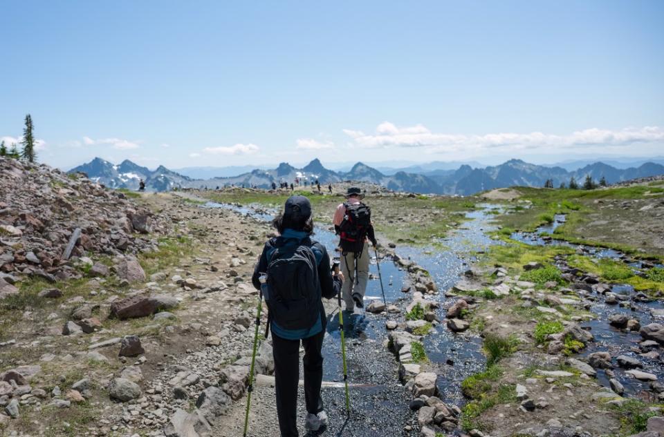 Mount Rainier National Park is trying out a new road reservation system for 2024 after dealing with extreme crowds during recent summers. Janice – stock.adobe.com