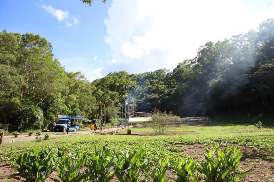 台東部落旅行 秘境野炊、捉浪花蟹感受純真年華