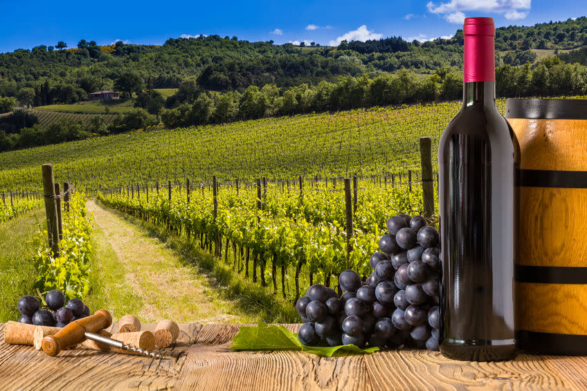 30 Most Popular Wine Brands in America