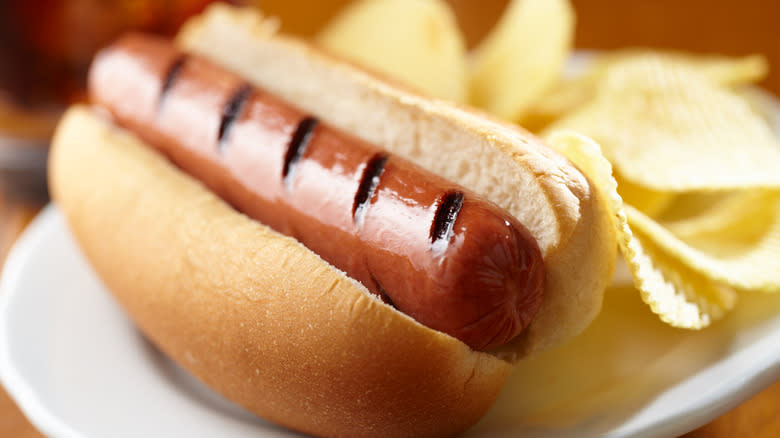 hot dog with potato chips