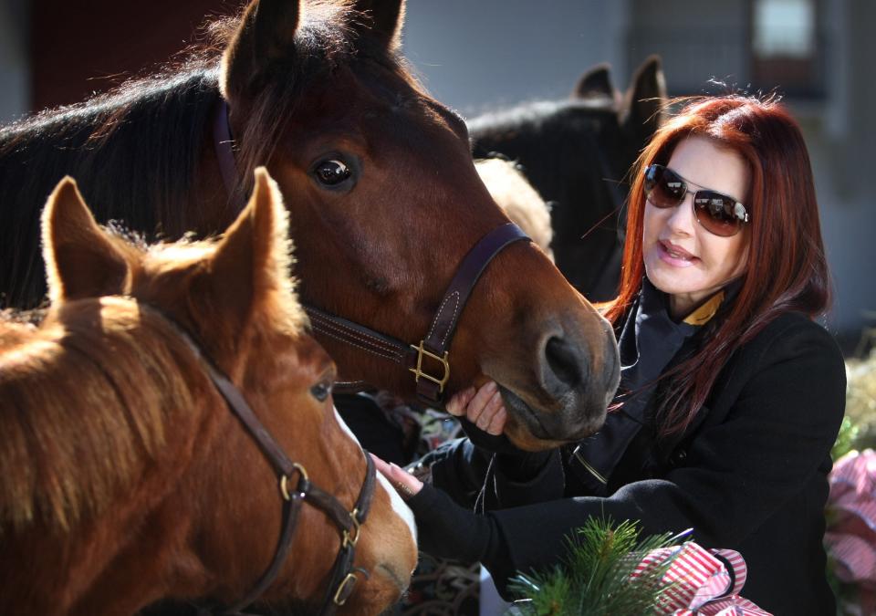 August 11, 2016 - Priscilla Presley introduced Max and Bandit, a pair of rescue horses adopted by Graceland, to fans at what would have been the King's 74th birthday in 2008. "Graceland is a living breathing home," said Presley, and she wanted "to keep it the way Elvis left it," including the barn and horses that were a part of life for Elvis.