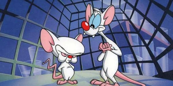 Actor de Animaniacs confirma que Pinky y Cerebro regresarán en el reboot