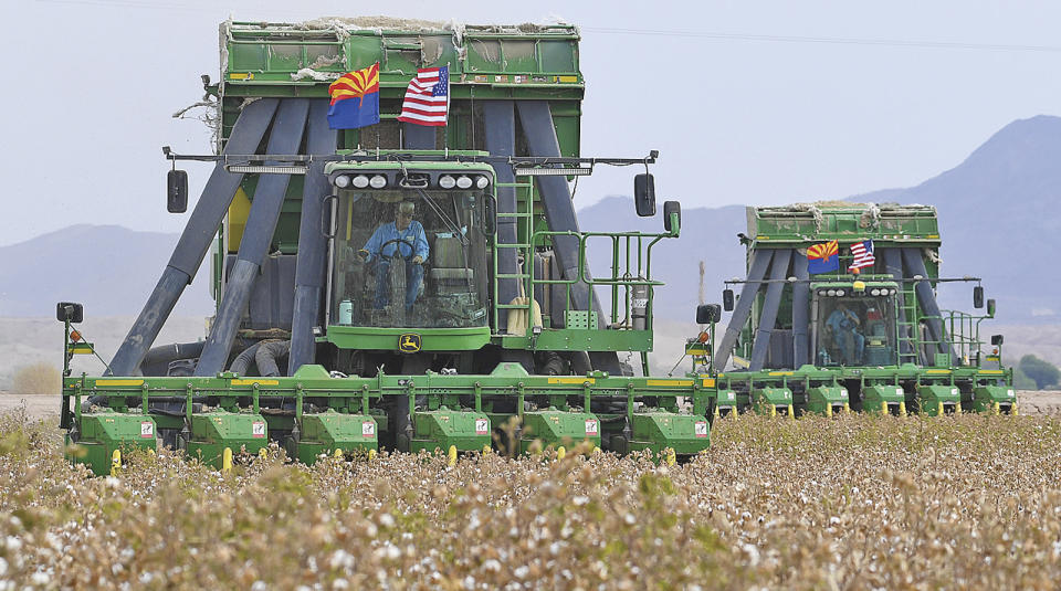 FILE - Two John Deere on board module cotton strippers, owned and operated by DVB Harvesting, work their way through a field of cotton on Aug. 21, 2020, in Winterhaven, Ariz. John Deere says it will no longer sponsor "social or cultural awareness" events as the agricultural machinery manufacturer becomes one of the latest companies to distance itself from diversity and inclusion measures. (Randy Hoeft/The Yuma Sun via AP, File)
