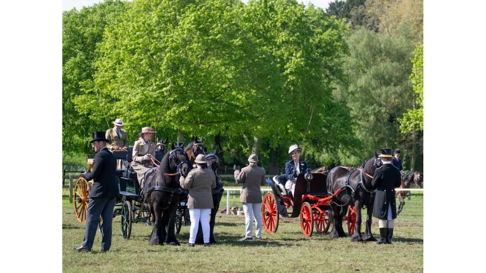 carriage driving at royal windsor horse show 