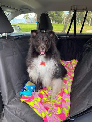 A waterproof car seat cover