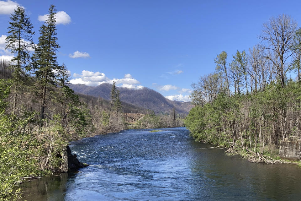 The McKenzie River is seen flowing through an area of forestland burned by a 2020 wildfire near Blue River, Ore., on May 17, 2021. The area east of Eugene, Ore., was one of many places in western Oregon devastated last fall during a 72-hour firestorm. Oregon's unprecedented 2020 wildfire burned 4,000 homes and more than 1 million acres, many of them in rainy areas of the state that aren't normally associated with extreme wildfire. (AP Photo/Gillian Flaccus)