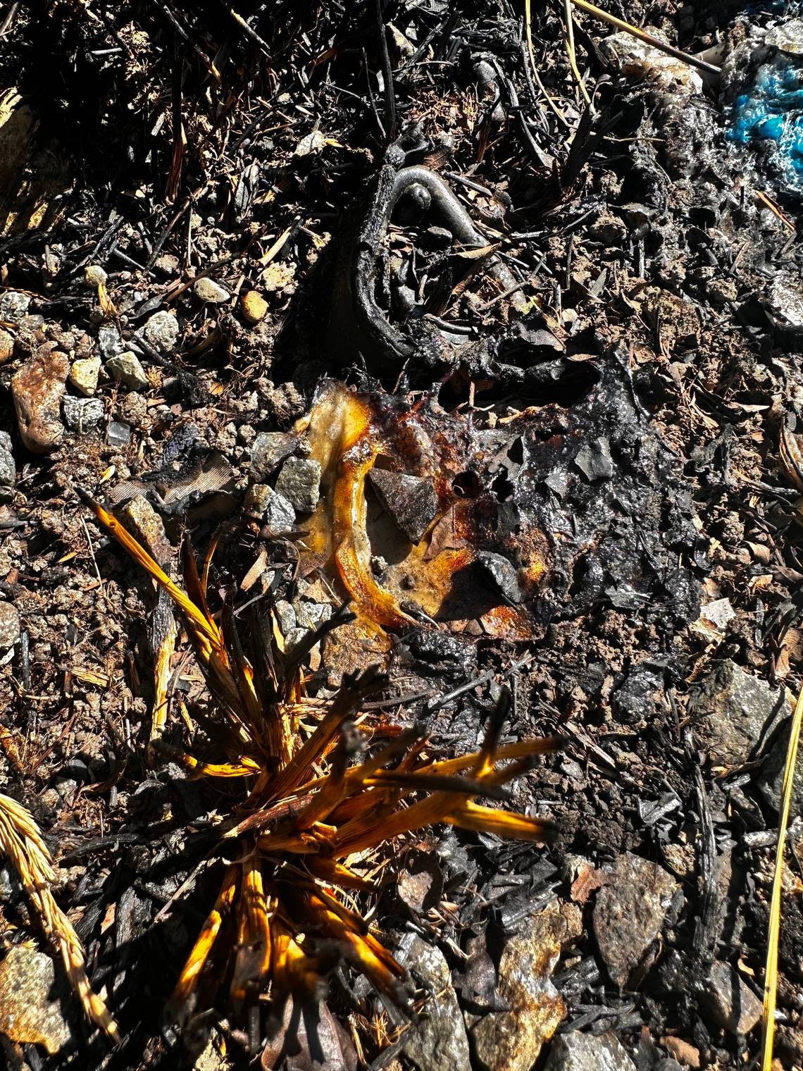 The remains of exploded fireworks are visible on the ground near Linda Harrison’s property on July 11, 2024.