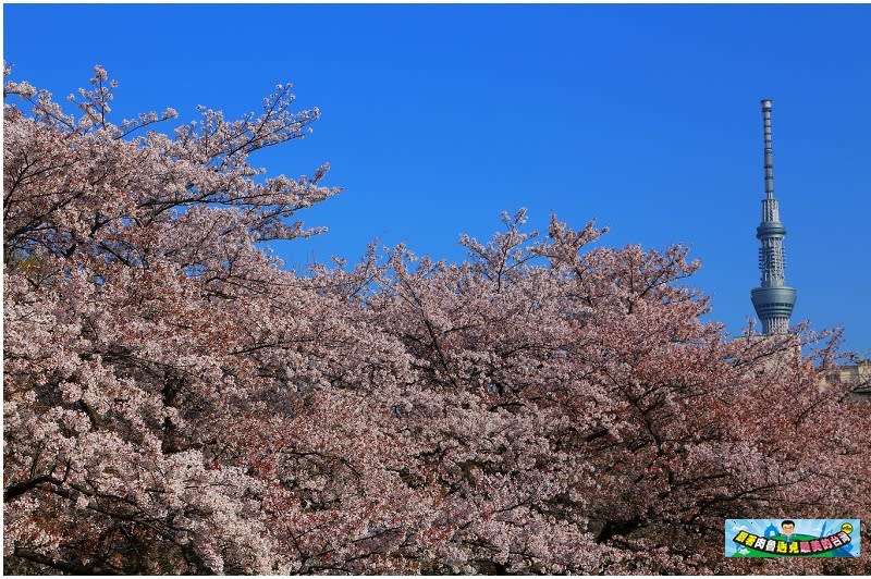 東京｜猿江恩賜公園