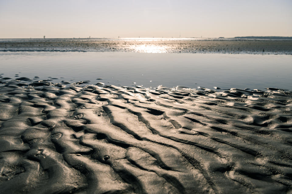 Das Wattenmeer zwischen Cuxhaven und der Insel Neuwerk. Ganz in der Nähe ist vor kurzem eine Sandbank entstanden. Foto: Mohssen Assanimoghaddam / dpa