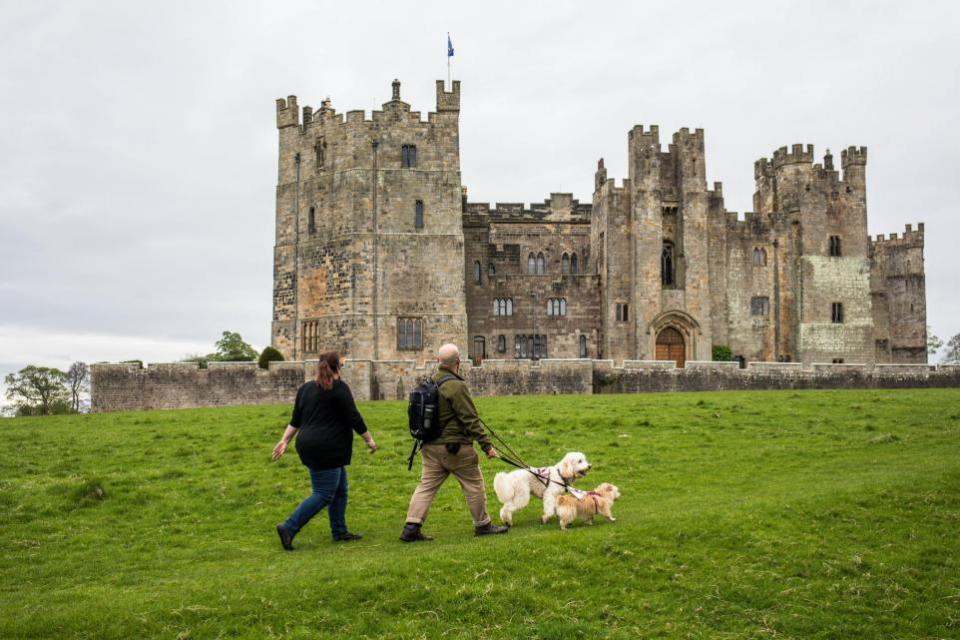 The Northern Echo: The Raby Castle Great British Dog Walk in aid of Hearing Dogs for Deaf People.