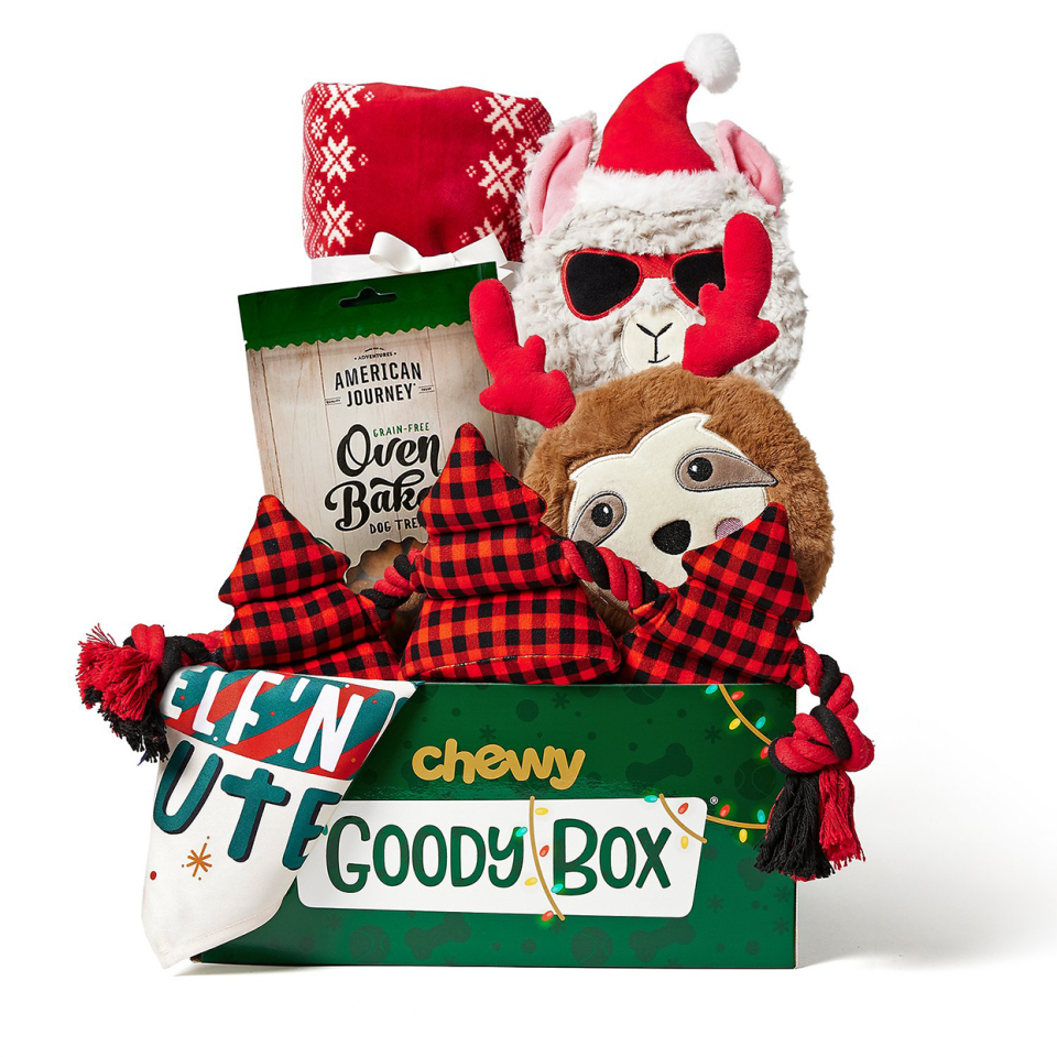 chewy holiday goody box